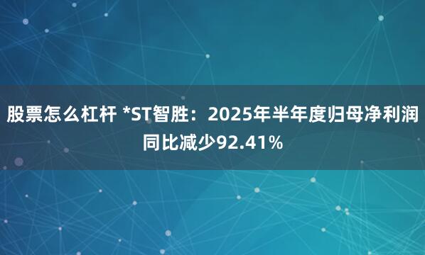股票怎么杠杆 *ST智胜:2025年半年度归母净利润同比减少92.41%