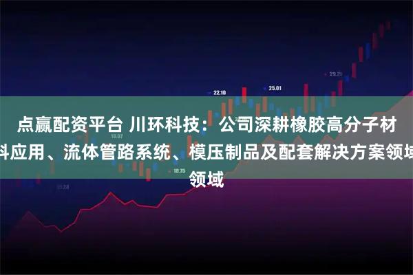 点赢配资平台 川环科技：公司深耕橡胶高分子材料应用、流体管路系统、模压制品及配套解决方案领域
