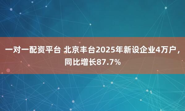 一对一配资平台 北京丰台2025年新设企业4万户，同比增长87.7%