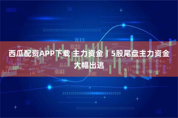 西瓜配资APP下载 主力资金丨5股尾盘主力资金大幅出逃