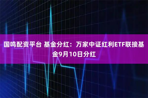 国鸣配资平台 基金分红:万家中证红利ETF联接基金9月10日分红